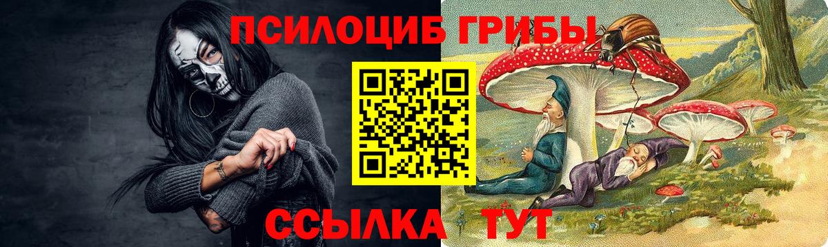 Ахтубинск  Галлюциногенные грибы GOLDEN TEACHER  Вход с VPN 
